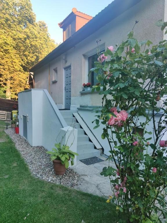 Przytulny Pokoj W Zacisznej Okolicy Z Lazienka Wspolna Dla Dwoch Pokoi Sopot Exteriör bild